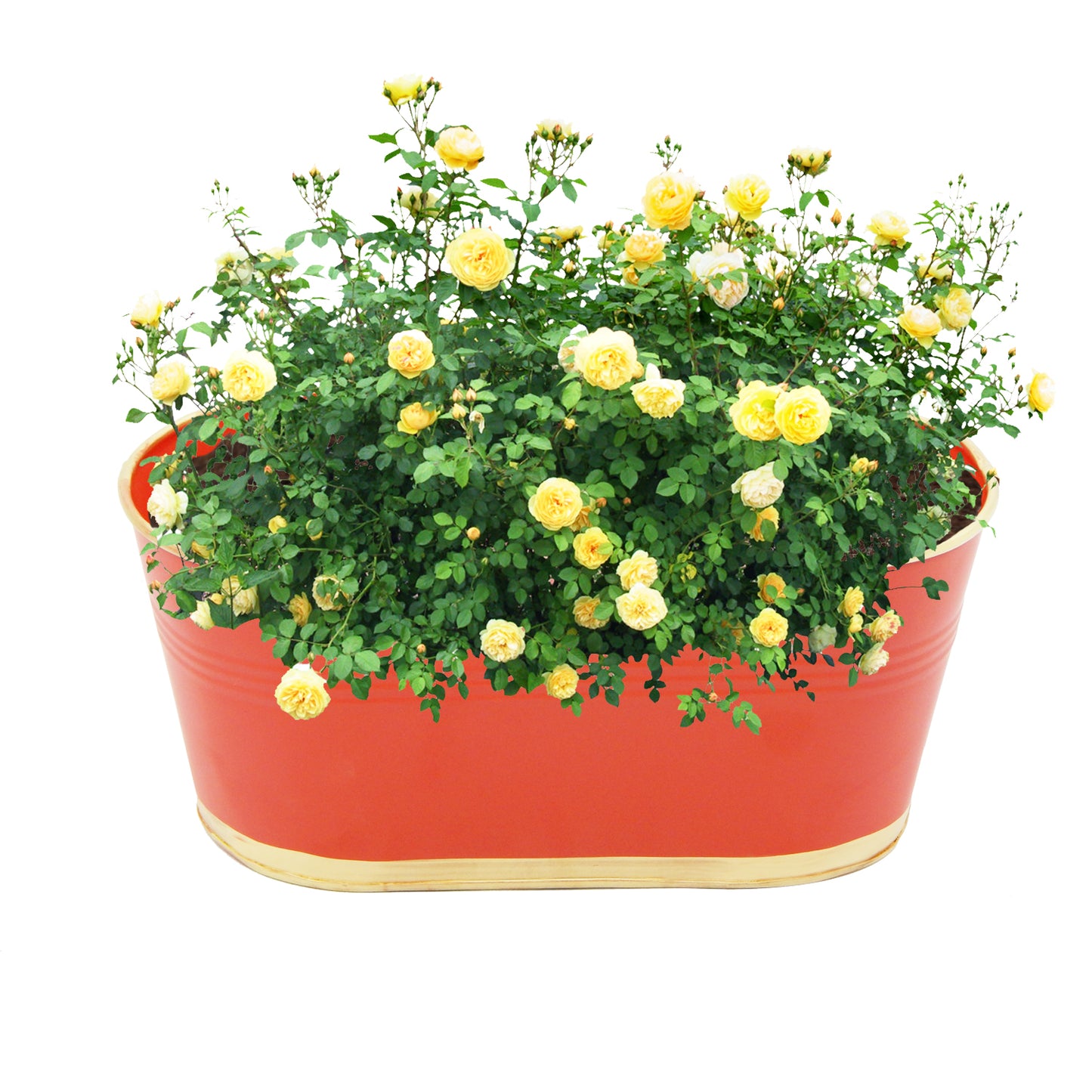 ecofynd Orange Oval Balcony Railing Planter (Set of 3)