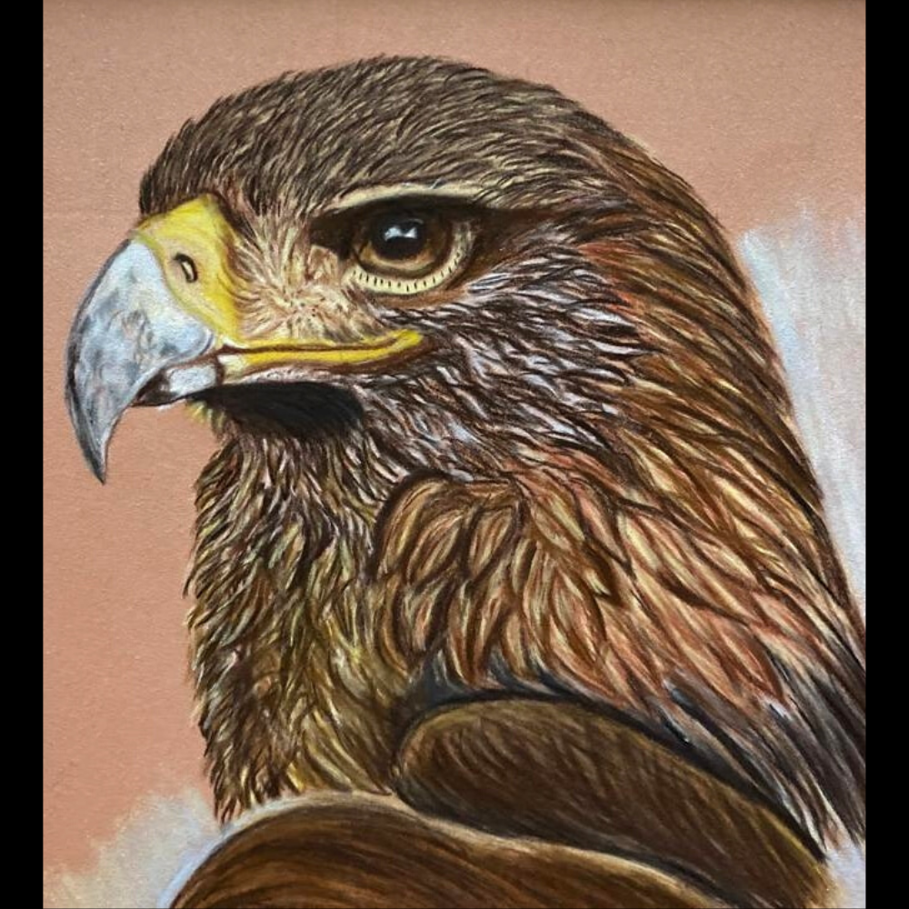 Handmade Falcon Painting