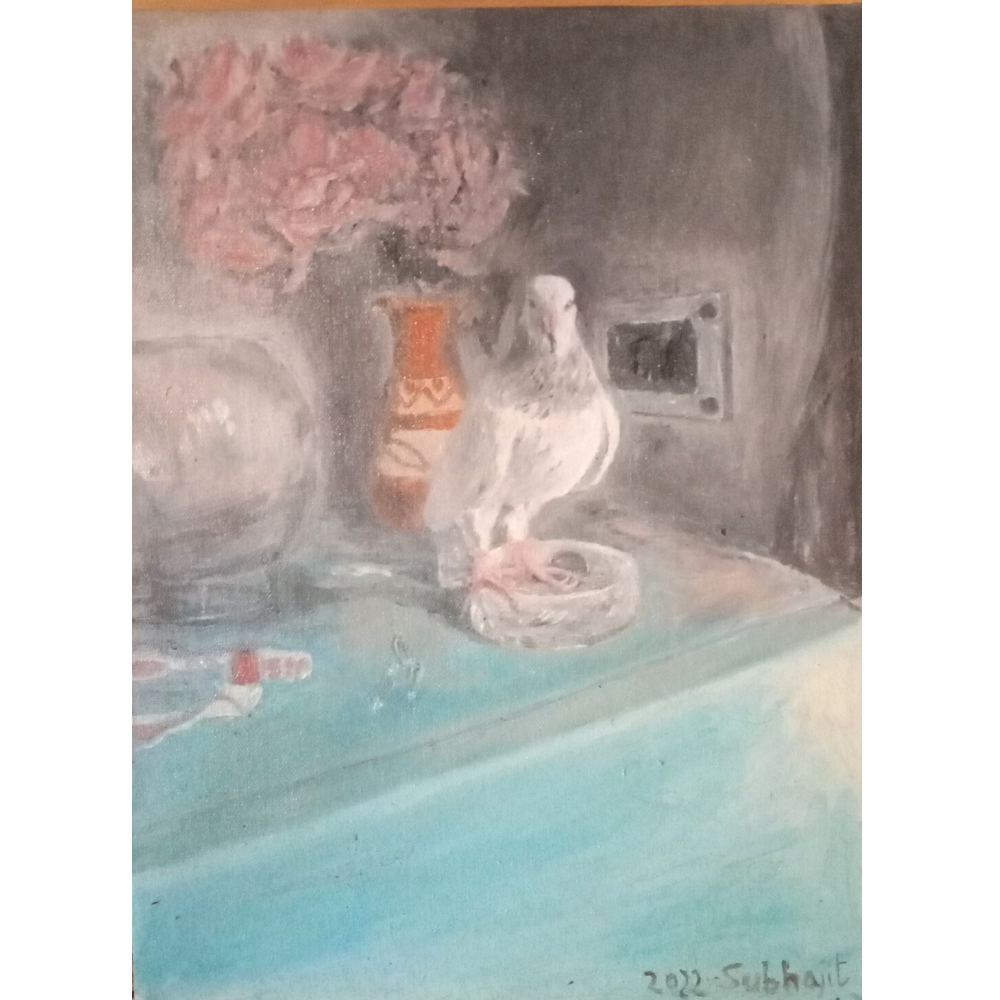 White Pigeon Oil Painting