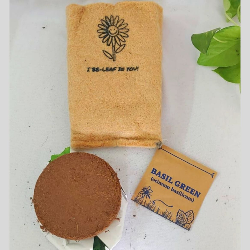 Ecotrendy Grow It Yourself Kit (Pack of 1)
