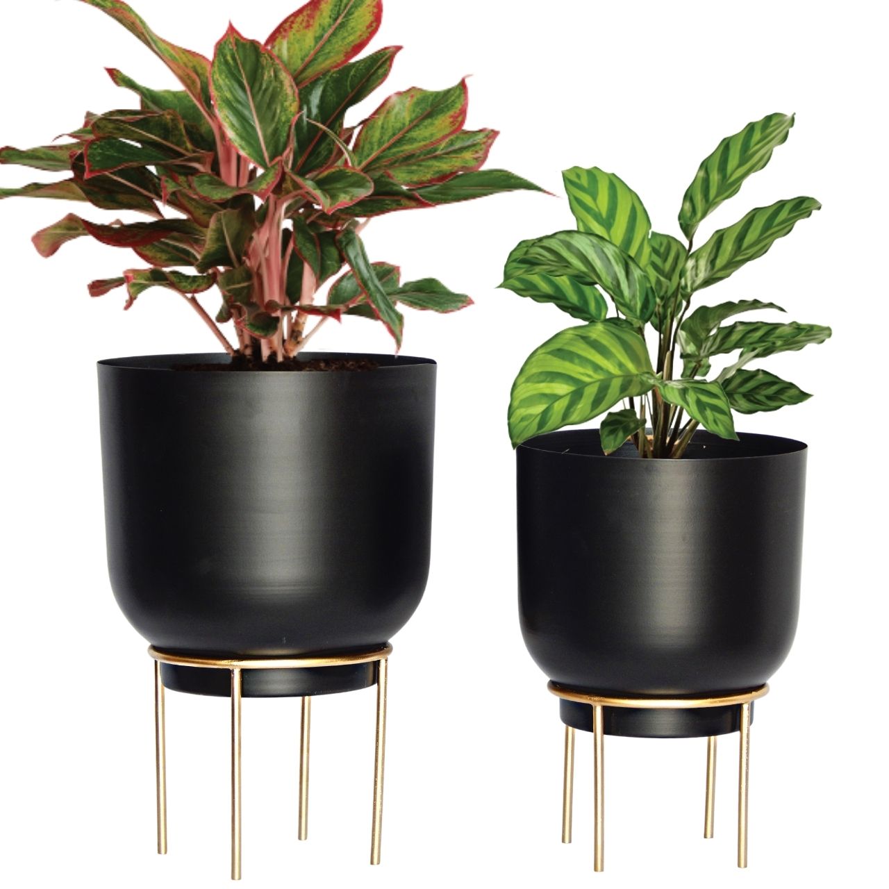 ecofynd Black Eva Metal Plant Pot with Stand (Set of 2)