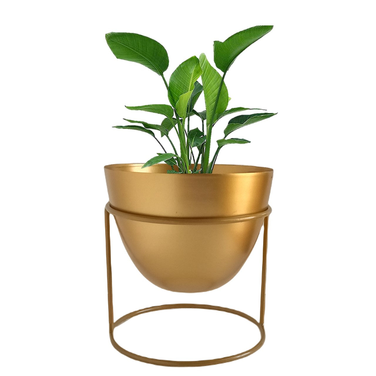 ecofynd Golden Alle Metal Plant Pot with Stand