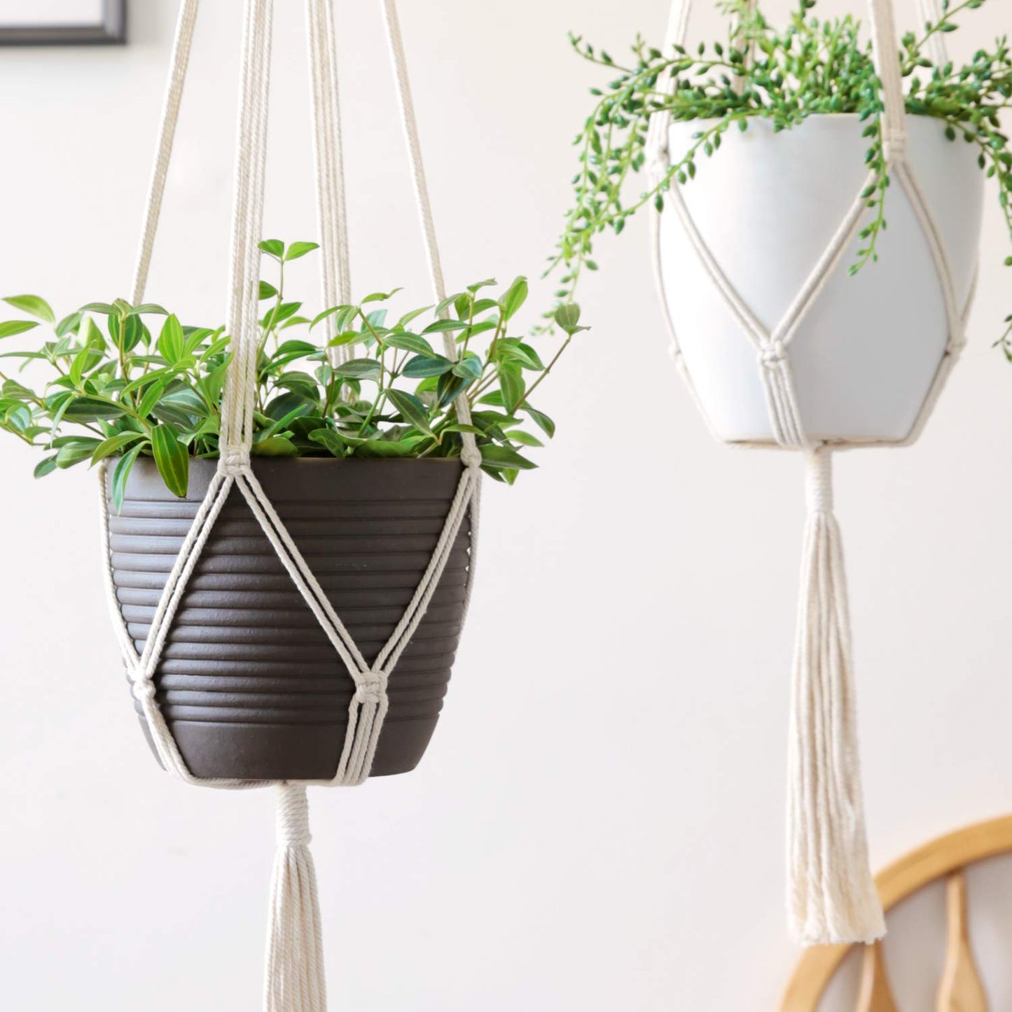 ecofynd White Macrame Cotton Boho Plant Hanger (Pack of 2)