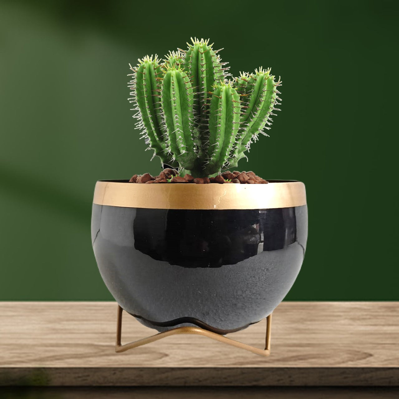 ecofynd Black Metal Planter Pot with Gold Stand
