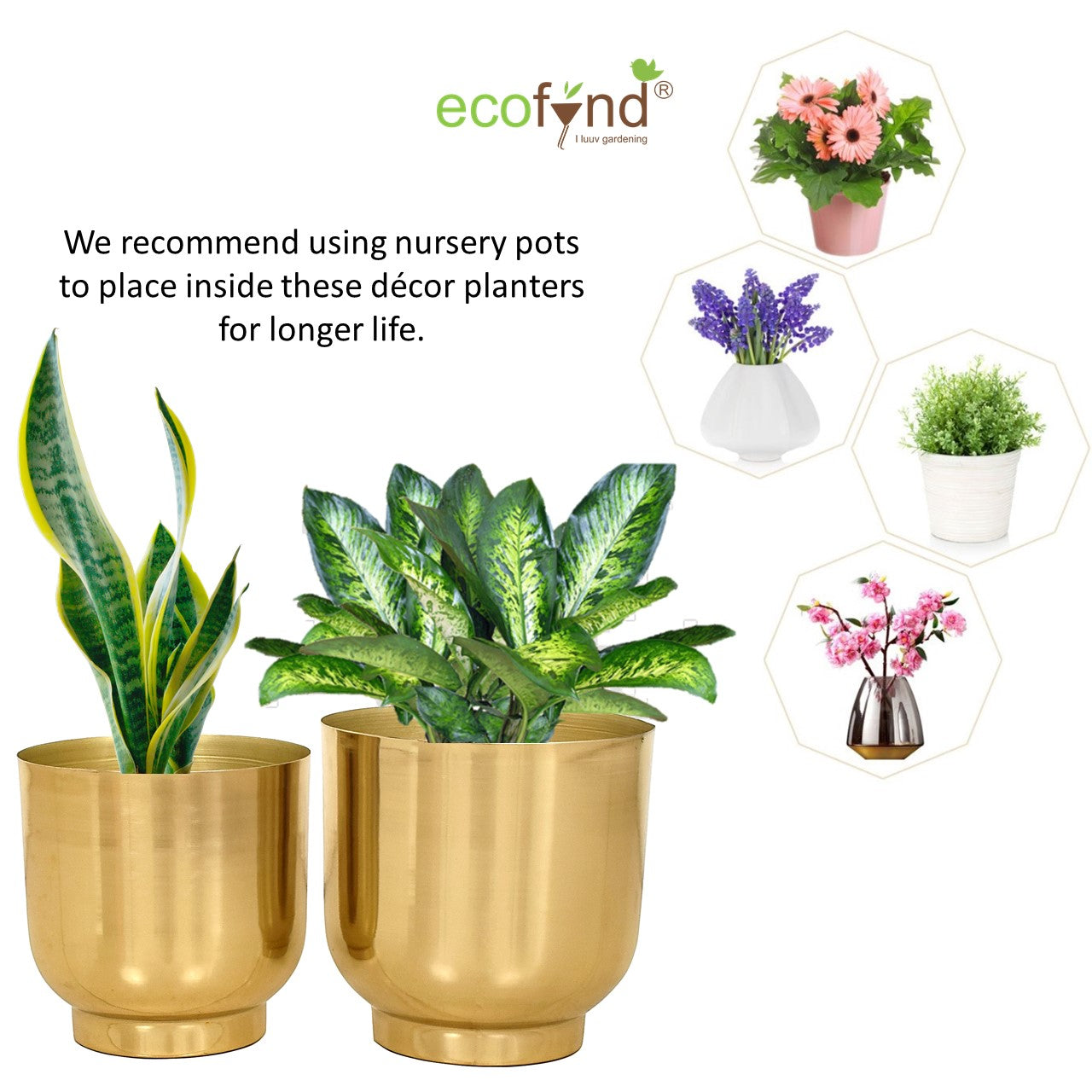 ecofynd Gold Eva Metal Plant Pots (Set of 2)