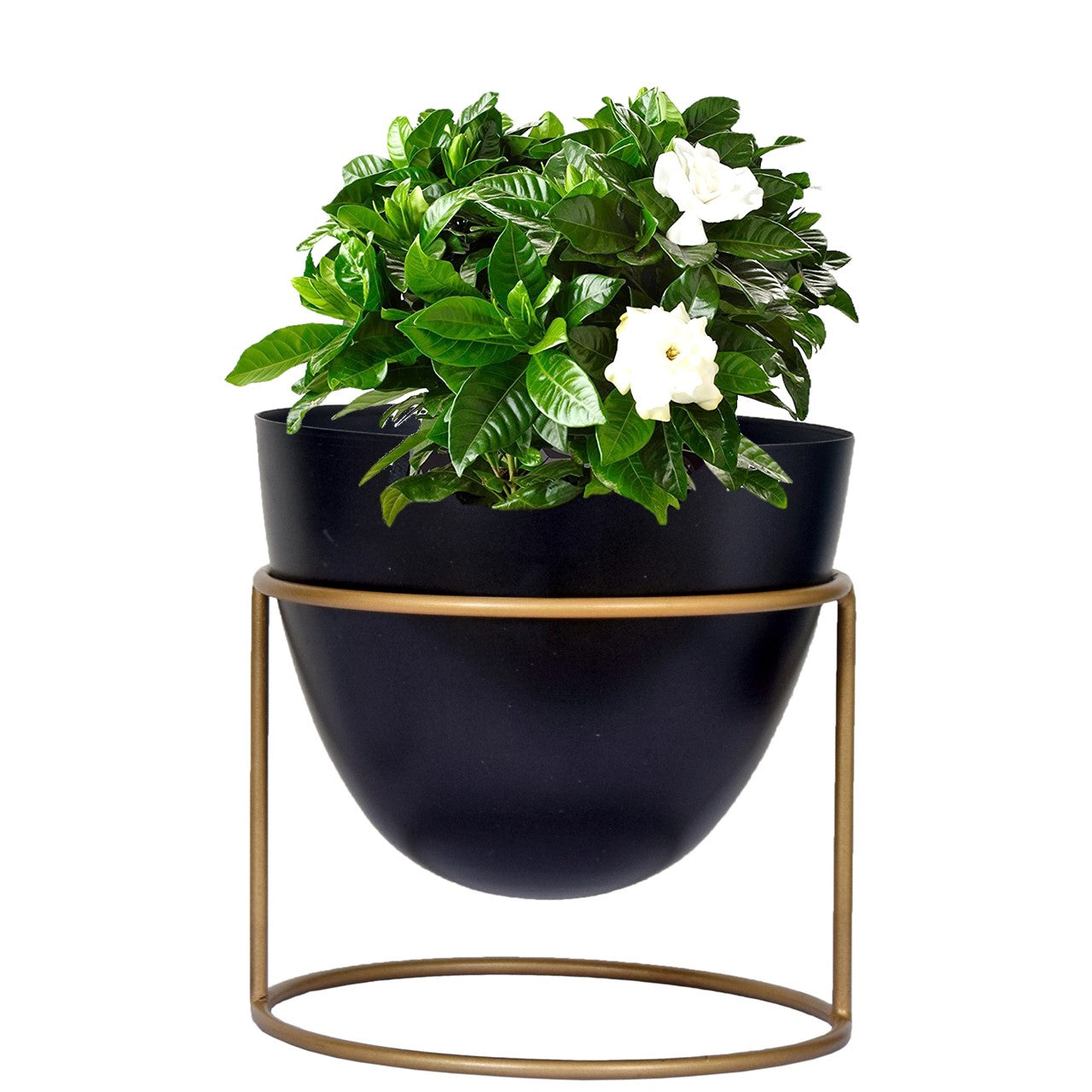ecofynd Black Alle Metal Plant Pot with Stand