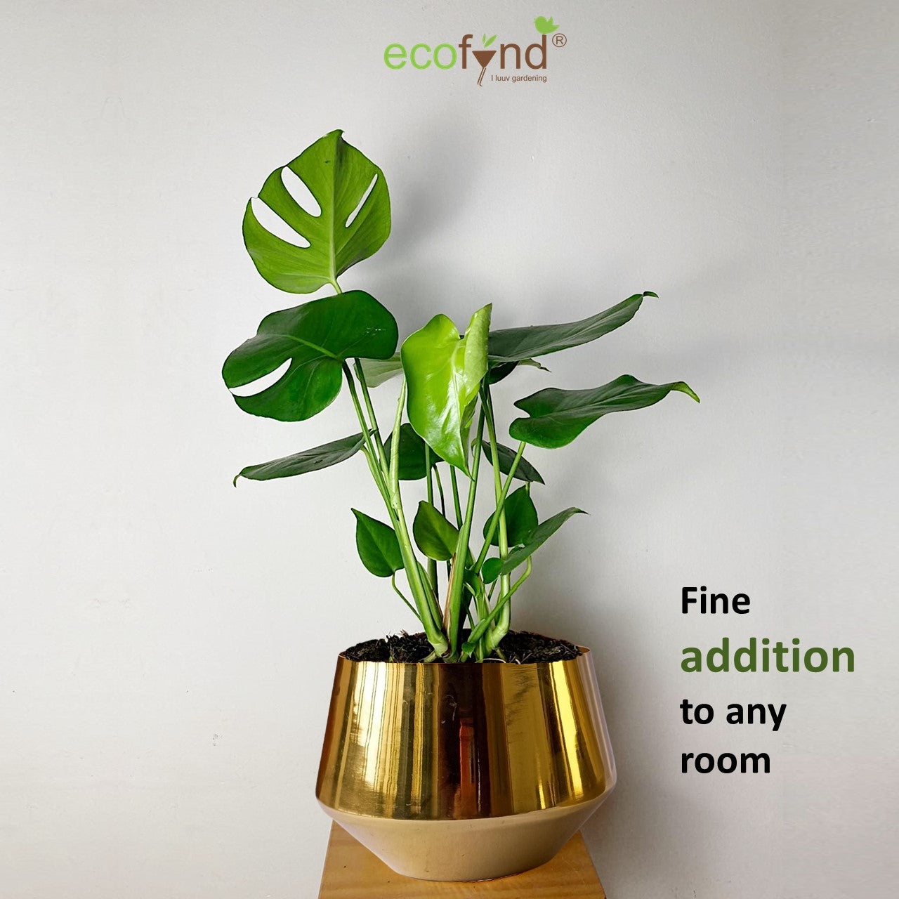 ecofynd Golden Alice Jr Metal Plant Pot