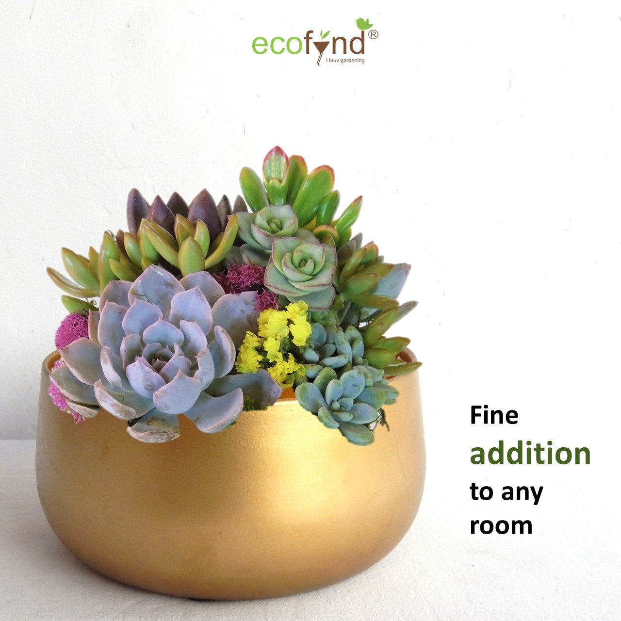 ecofynd Golden Zoe Metal Plant Pots