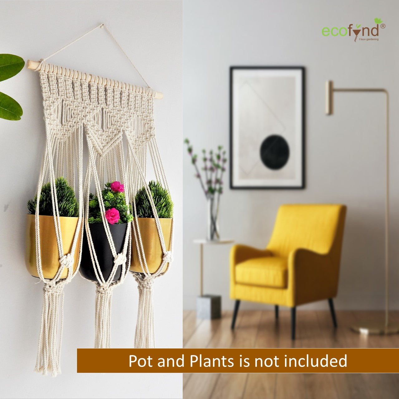 ecofynd Macrame Cotton Plant Hanger