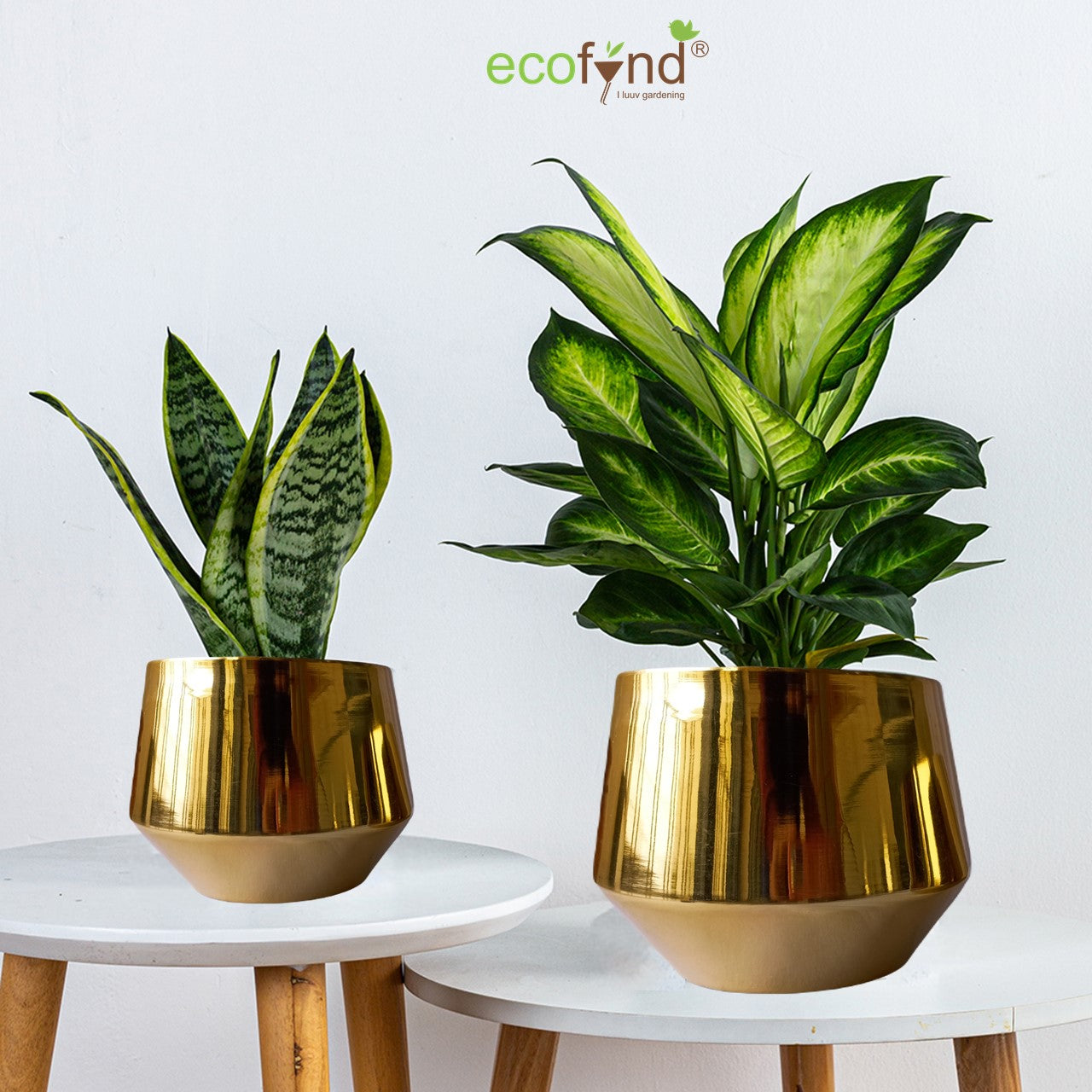 ecofynd Golden Alice Metal Plant Pot (Set of 2)