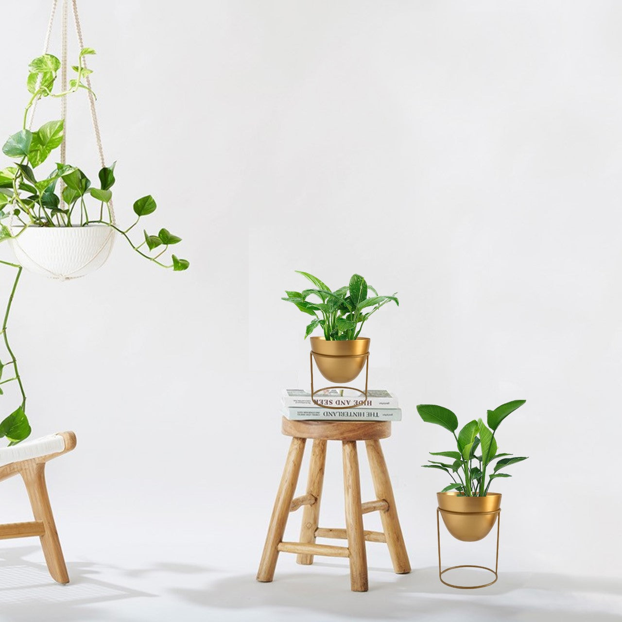ecofynd Golden Alle Metal Plant Pot with Stand (Set of 2)