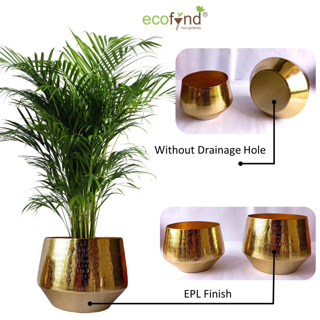 ecofynd Golden Eion Metal Plant Pot (Set of 2)