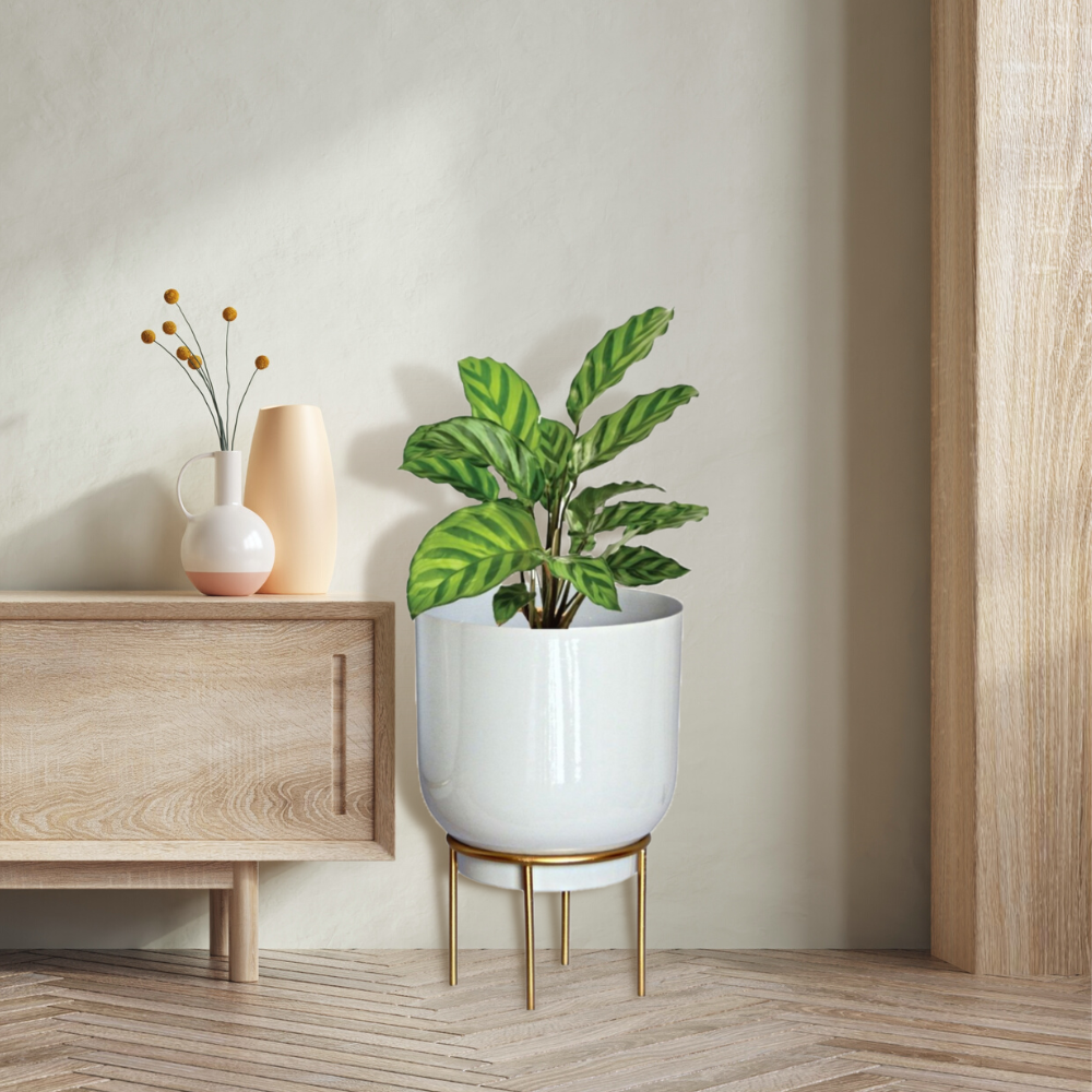 Eva Metal Pot with Stand