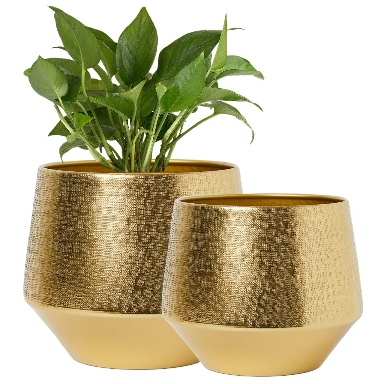 ecofynd Golden Eion Metal Plant Pot (Set of 2)