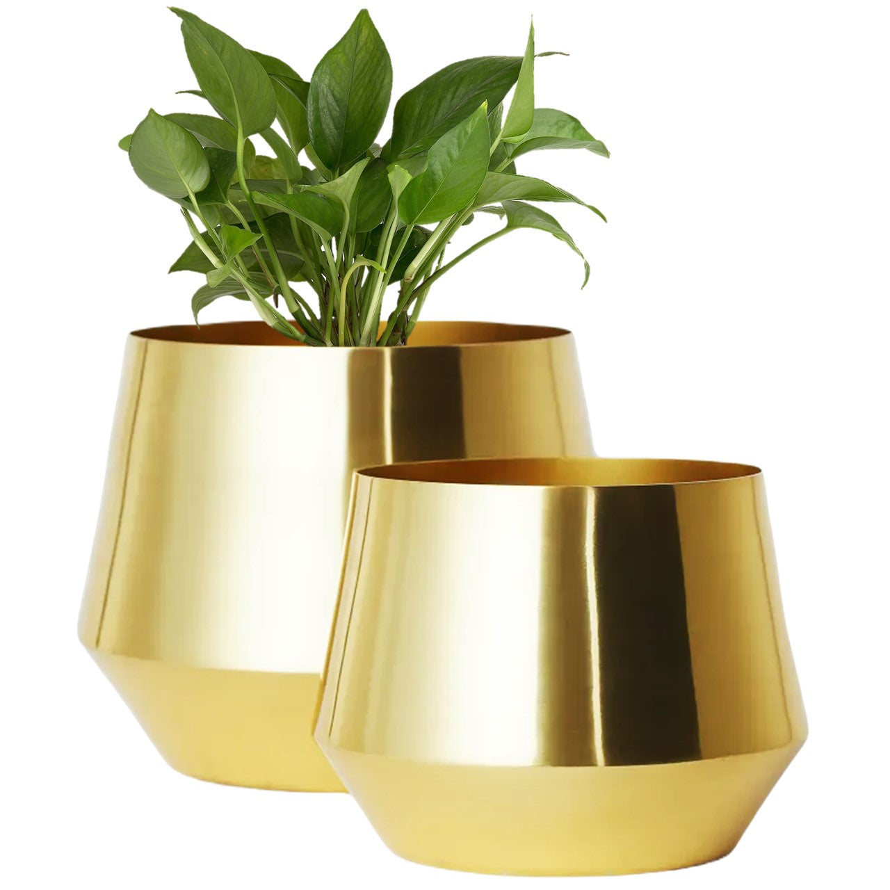 ecofynd Golden Alice Metal Plant Pot (Set of 2)