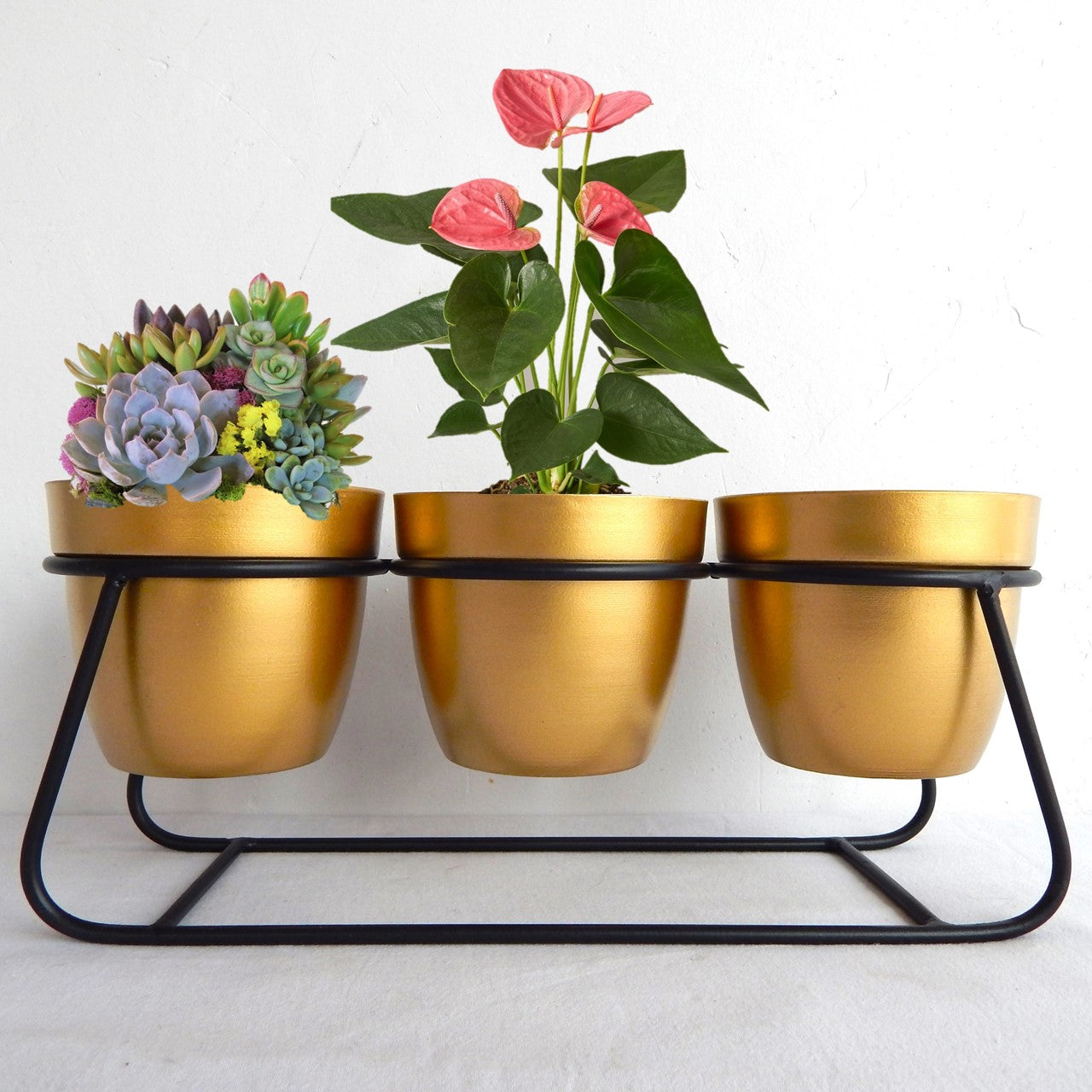 ecofynd Golden Modern Style Planter Set