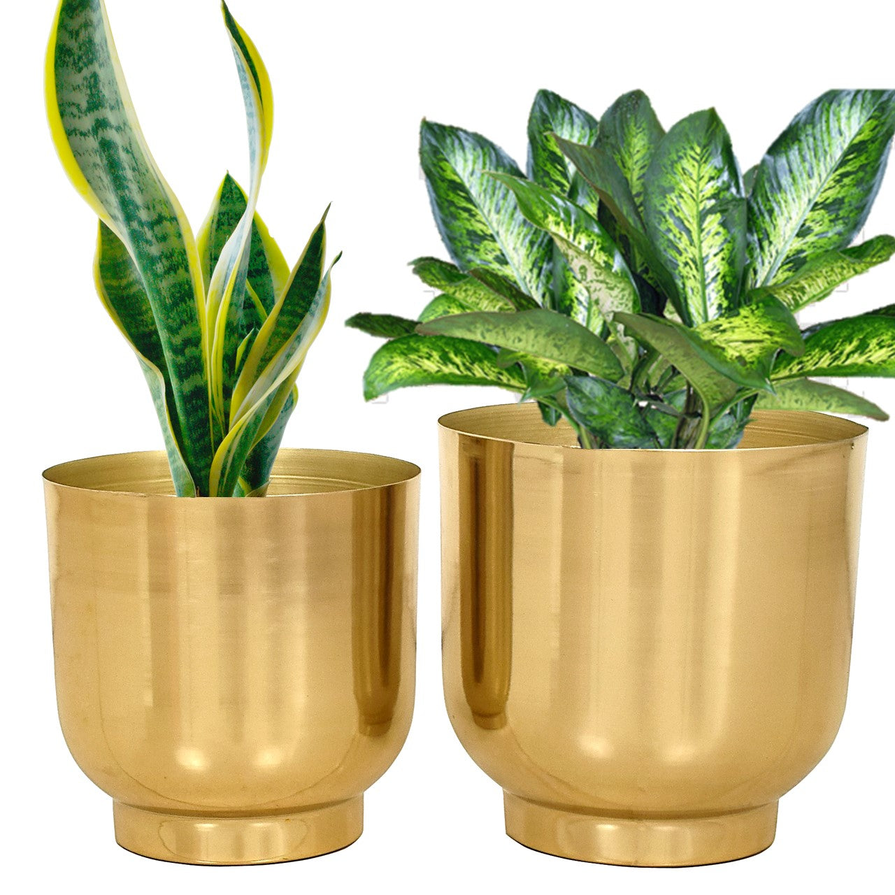 ecofynd Gold Eva Metal Plant Pots (Set of 2)