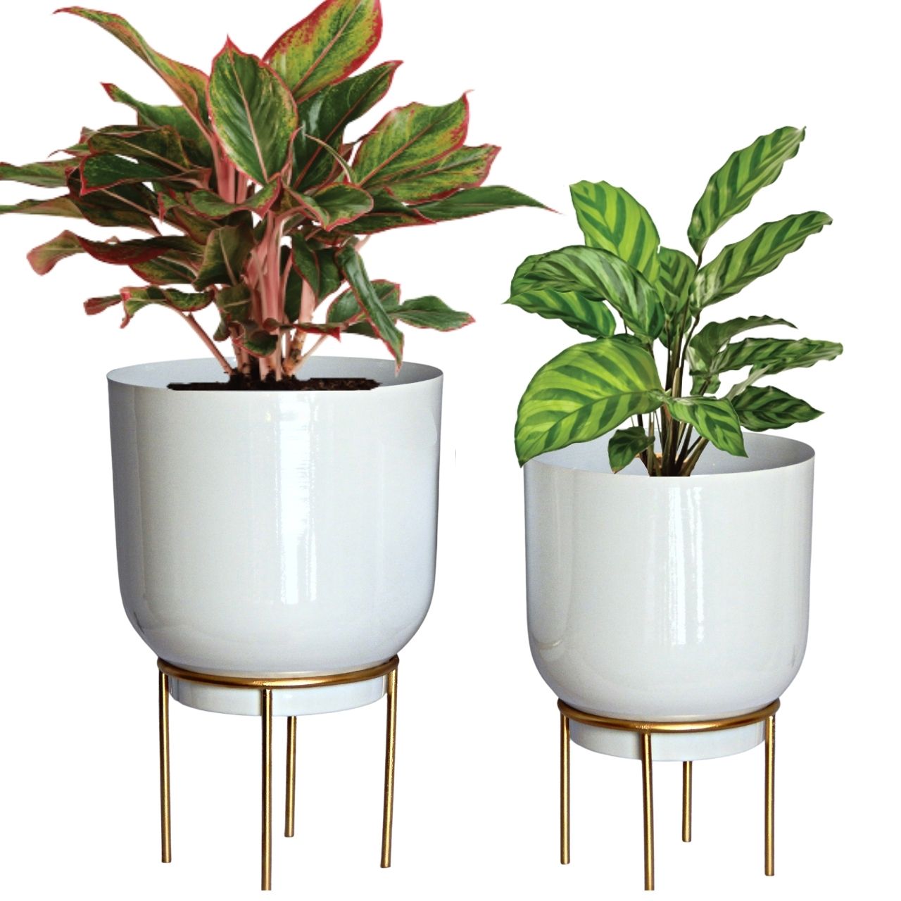 ecofynd White Eva Metal Plant Pot with Stand (Set of 2)