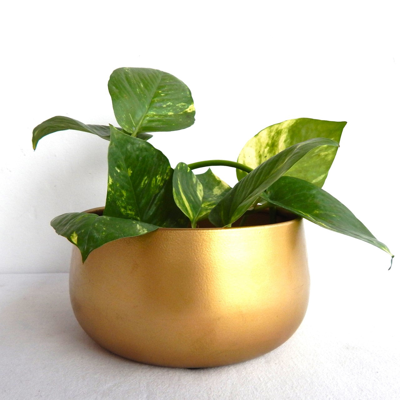 ecofynd Golden Zoe Metal Plant Pots