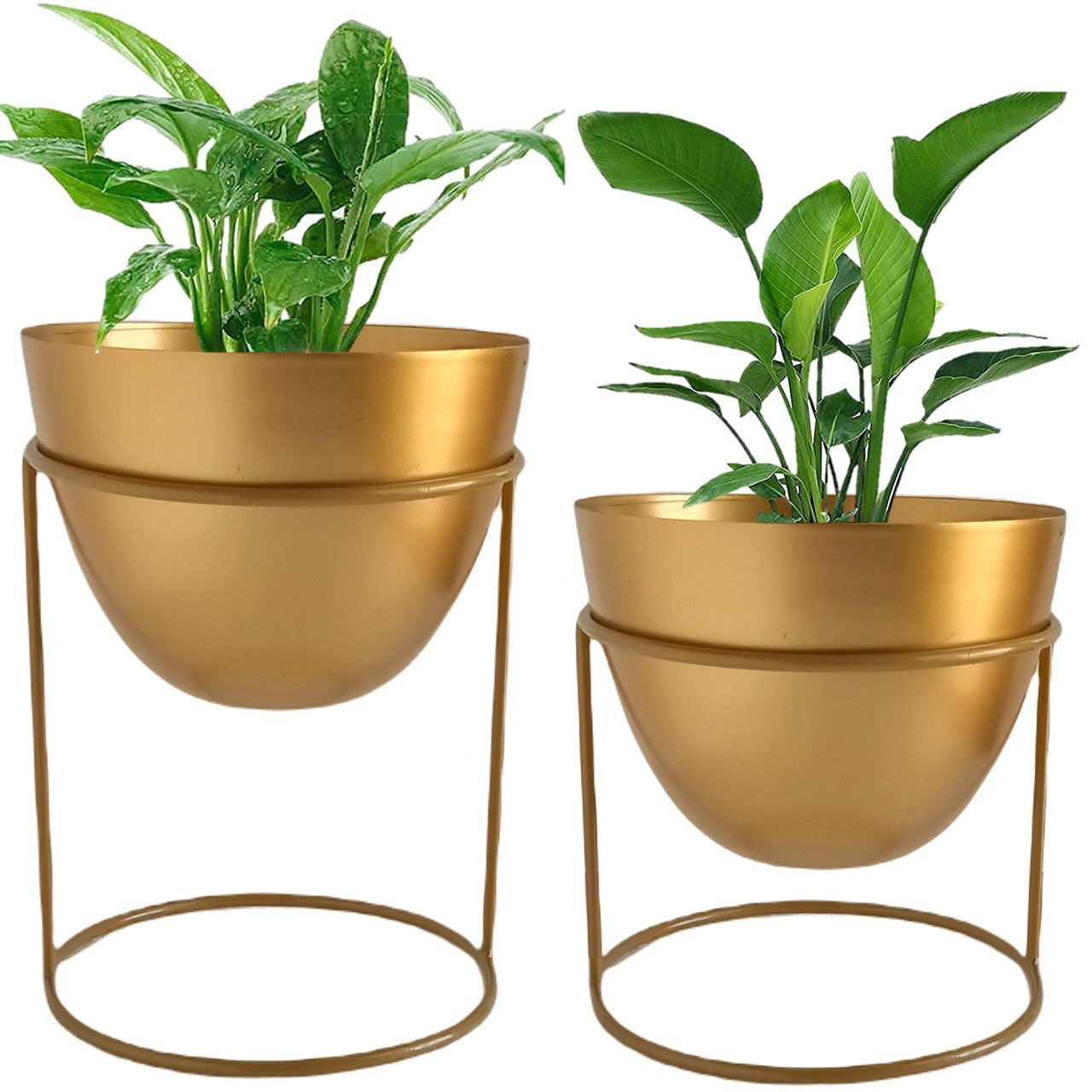 ecofynd Golden Alle Metal Plant Pot with Stand (Set of 2)