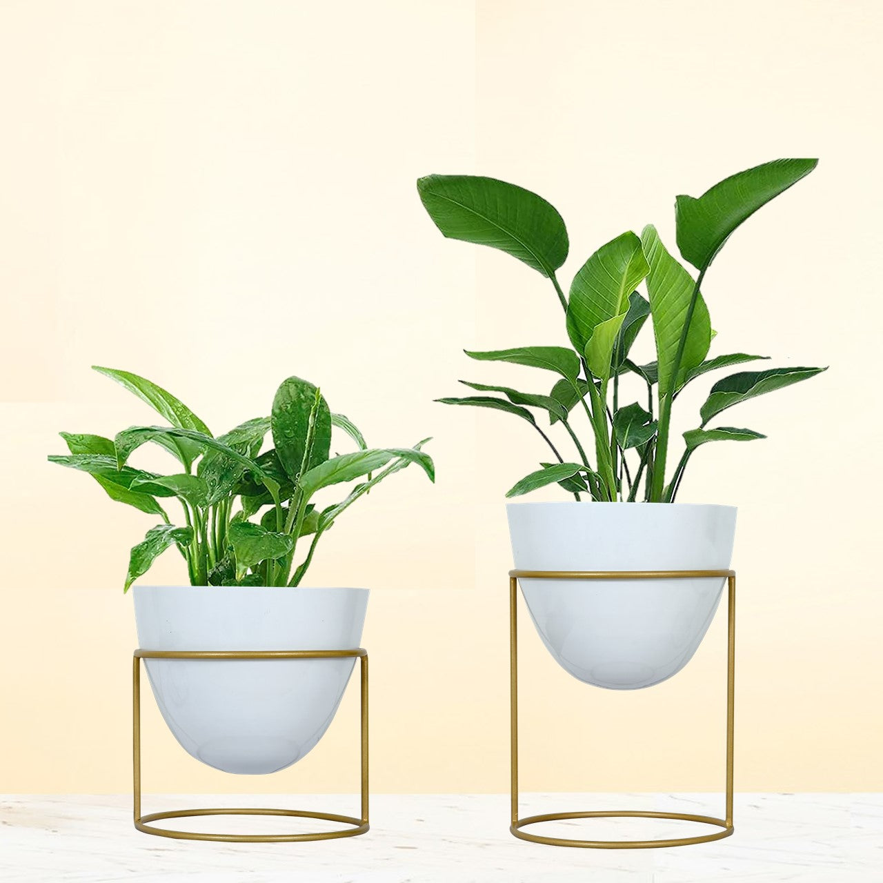 ecofynd White Alle Metal Plant Pot with Stand (Set of 2)