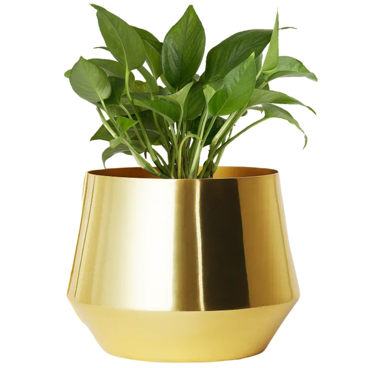 ecofynd Golden Alice Jr Metal Plant Pot