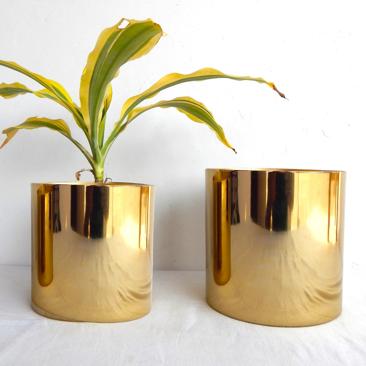 ecofynd Golden Grace Metal Plant Pots (Set of 2)