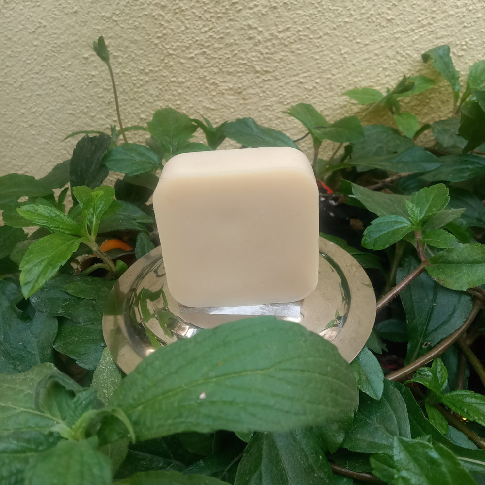 Handmade Coconut Oil Soap (100g)