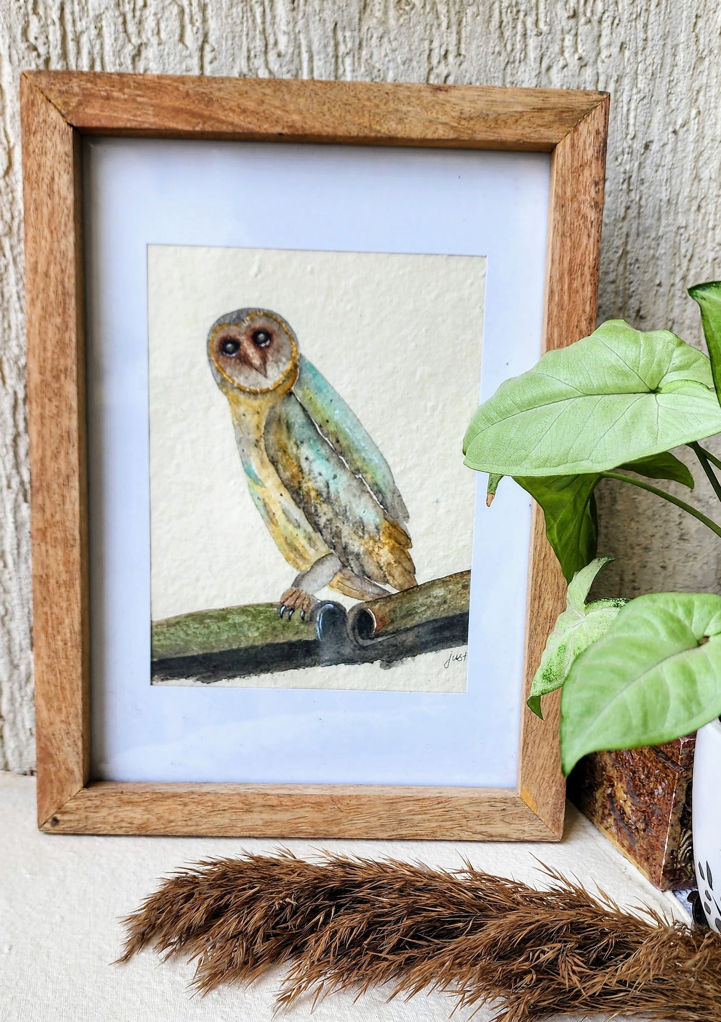 
                  
                    Wandering owl
                  
                