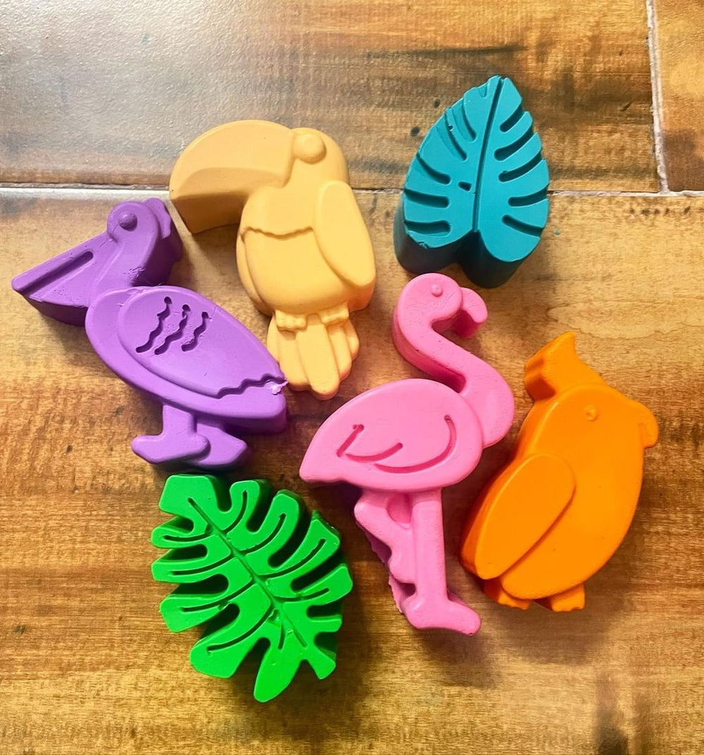 Handmade Non-toxic Jumbo Bird Shaped Crayons Set of 6