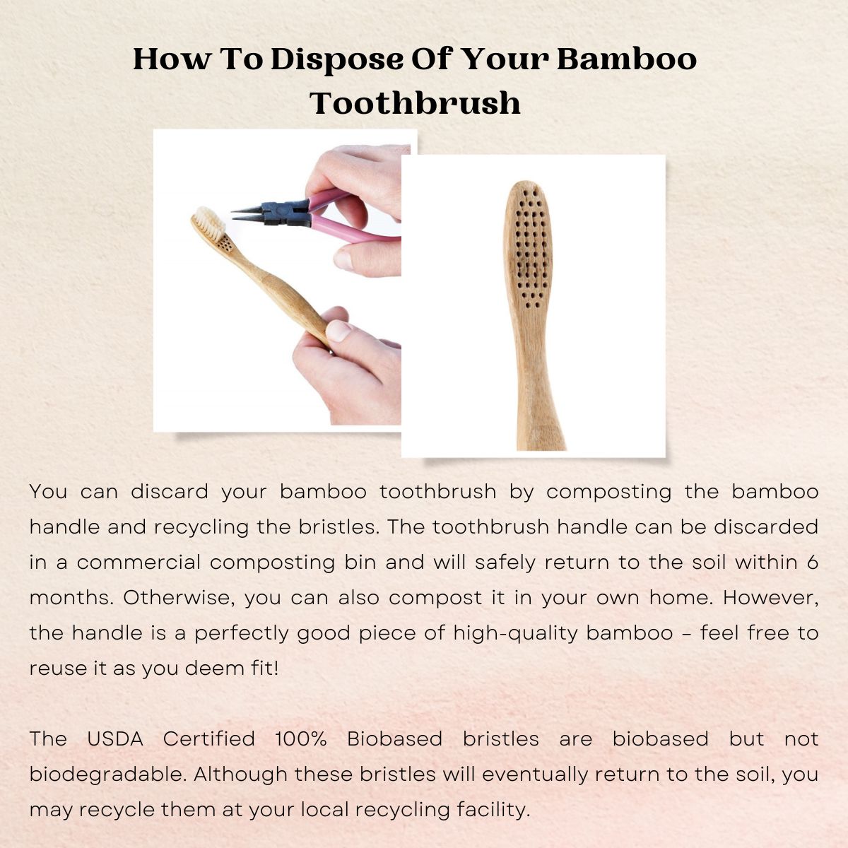 
                  
                    Goli Soda Natural Bamboo Toothbrush With Soft Plant Based Bristles
                  
                