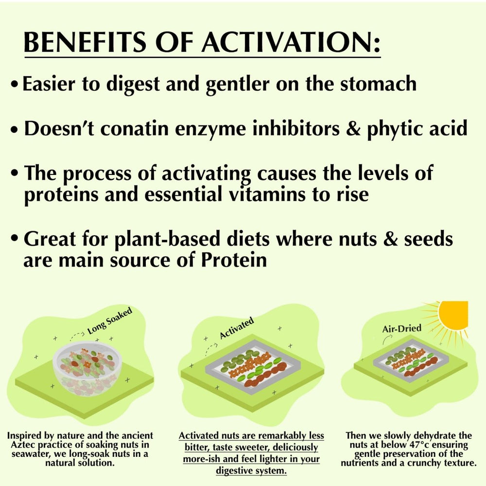 
                  
                    Activated/Sprouted Walnuts - Mildly Salted (100% Natural, Long Soaked & Air Dried to Crunchy Perfection - Kreate- Dryfruits & Seeds
                  
                