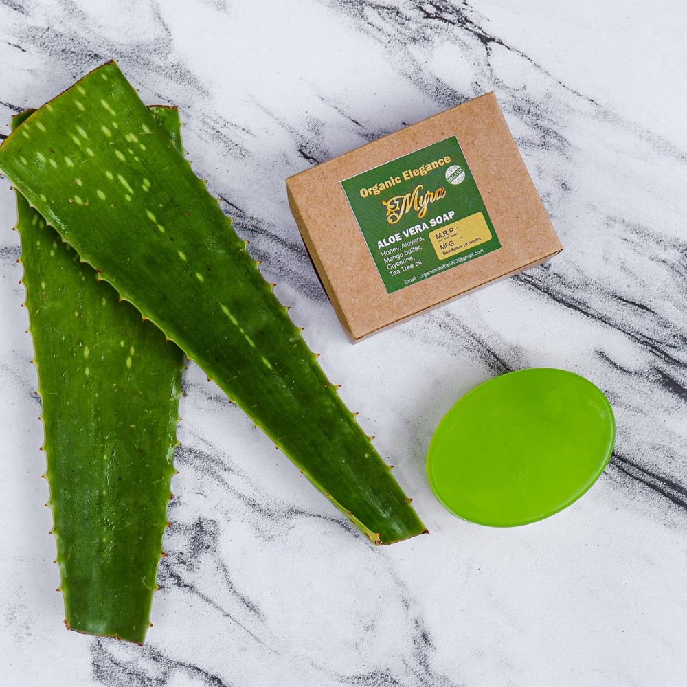 Aloe Vera Soap (100g) - Kreate- Soaps