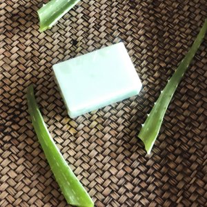 Aloe Vera Soap - Kreate- Soaps