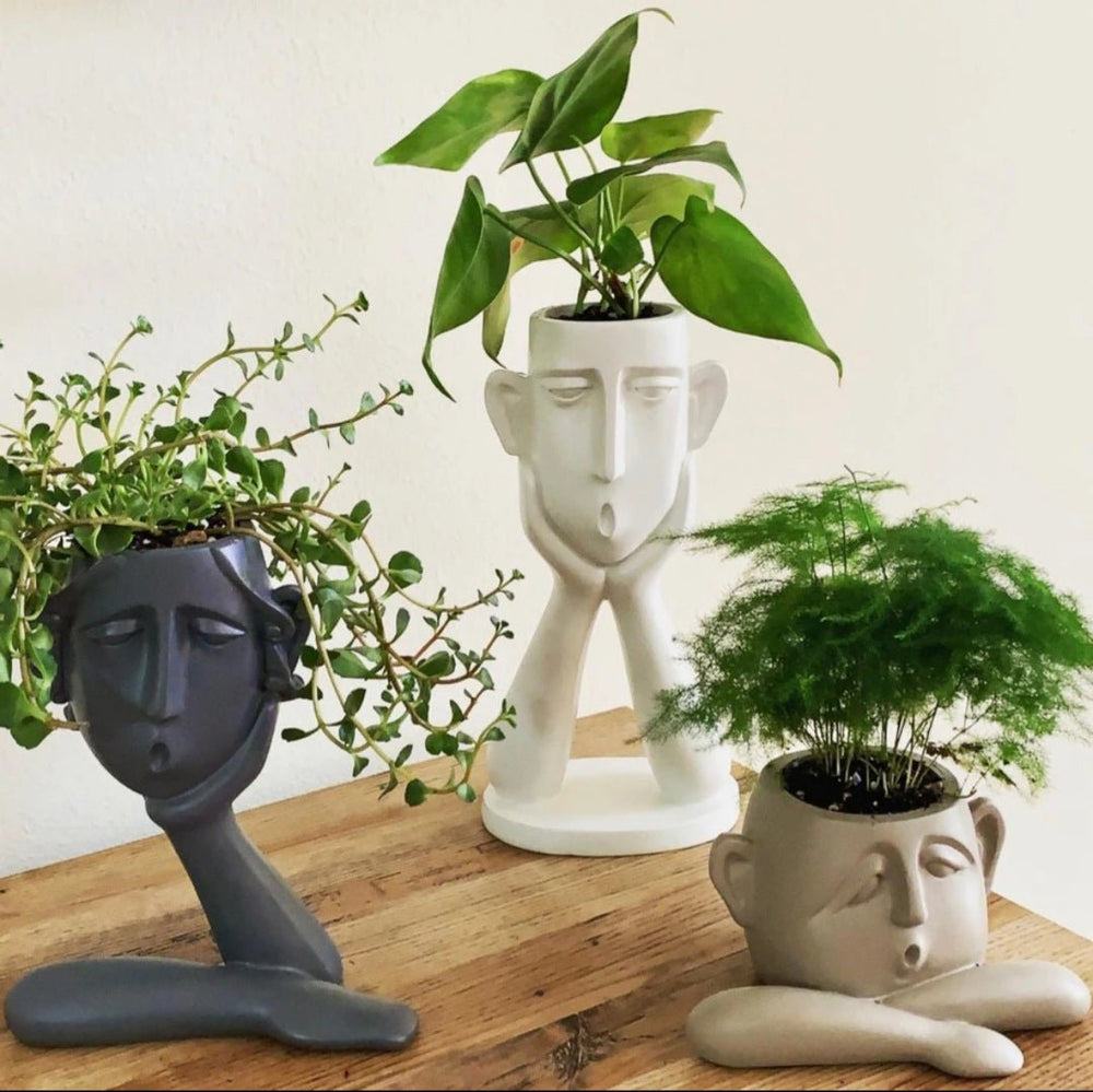 Antique Faces Planters & Pots - Kreate- Planters & Pots