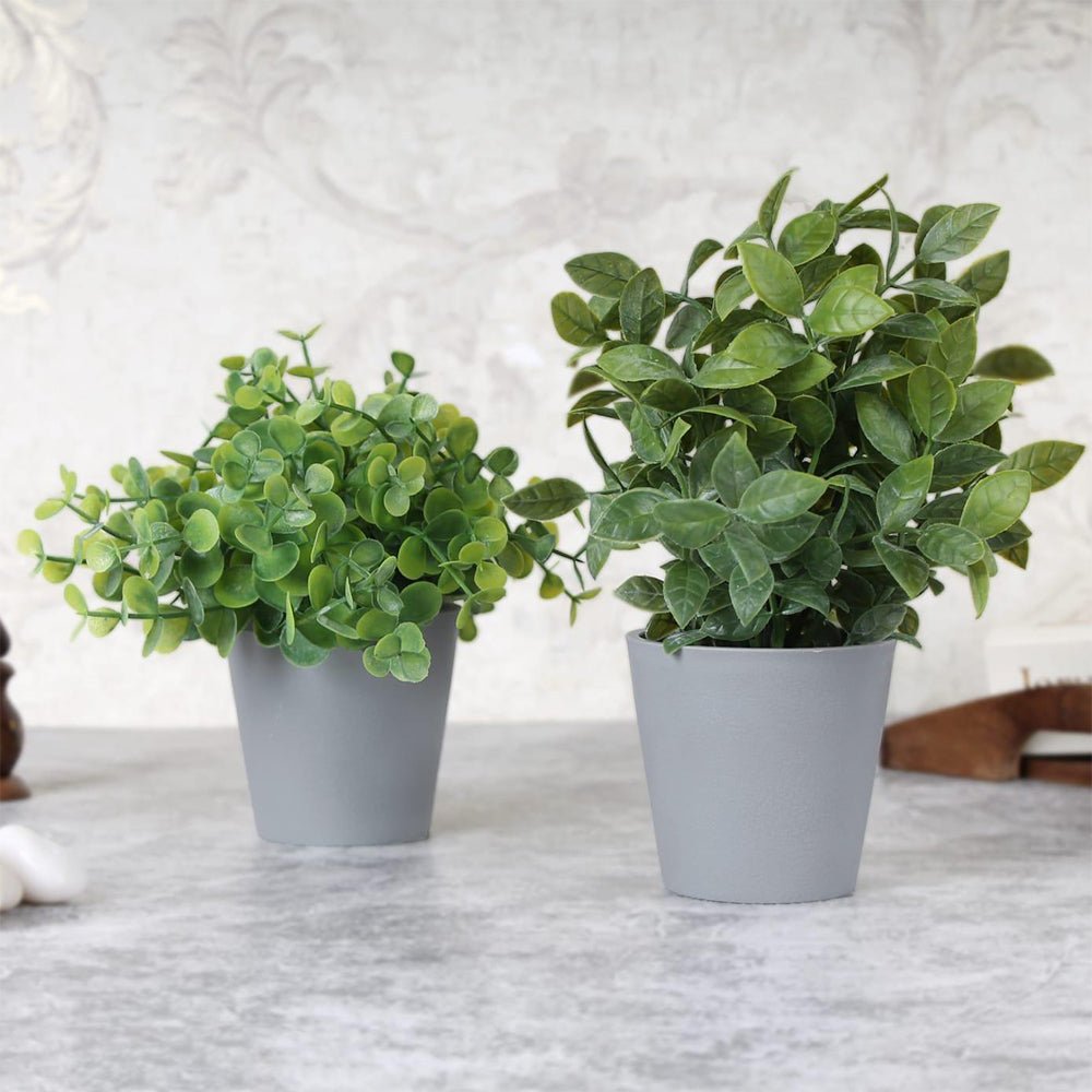 Artificial Jade and Gardenia Plant - Kreate- Plants