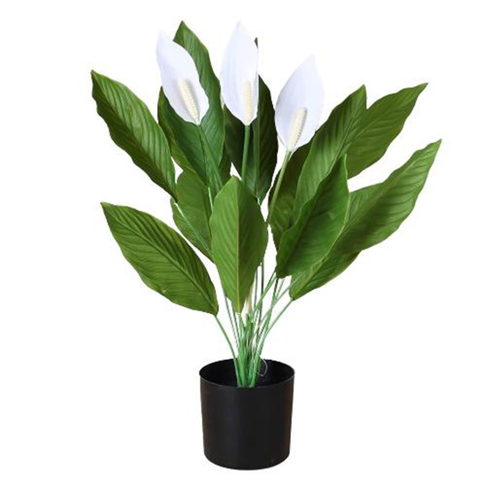 Artificial Peace Lily Plant With Pot - Kreate- Plants