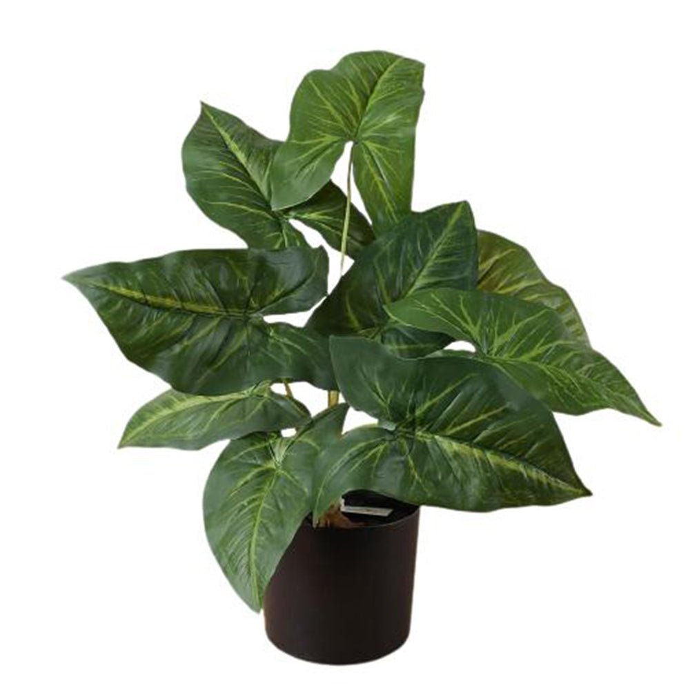 Artificial Syngonium Plant With Pot - Kreate- Plants