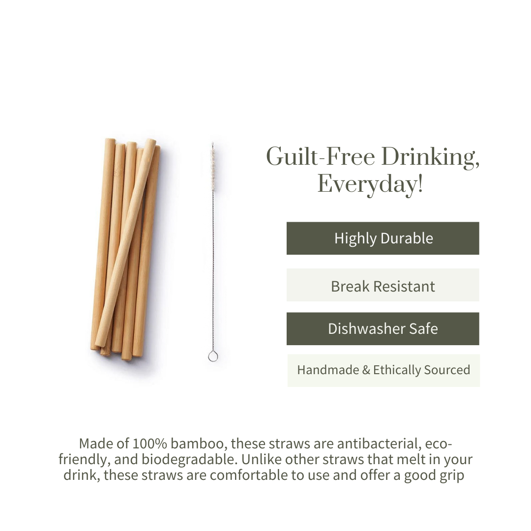 
                  
                    Ecotyl Bamboo Straw + Straw Cleaning Brush  (6 Pc)
                  
                