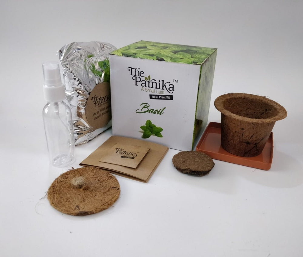 Basil Plant KIt - Kreate- Plants