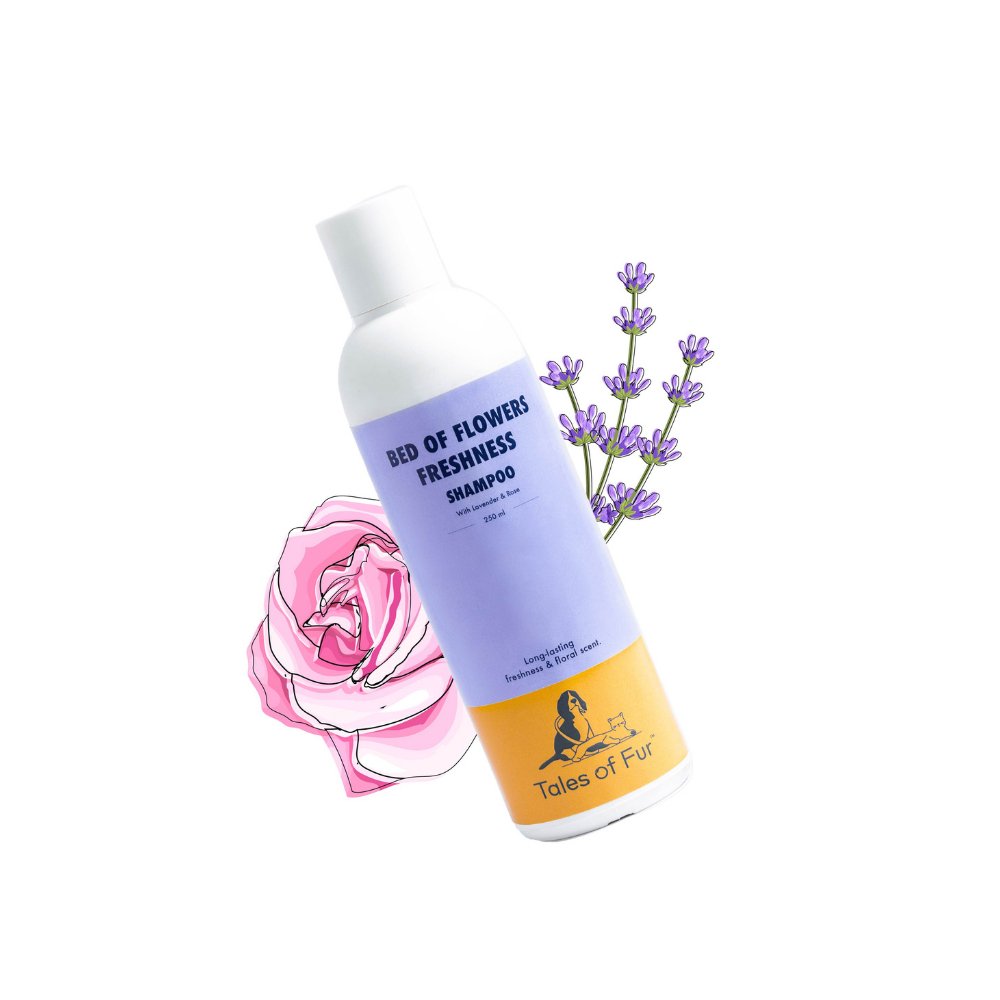 
                  
                    Bed of Flowers Freshness Shampoo for Dogs (250ml) - Kreate- Pet Grooming
                  
                