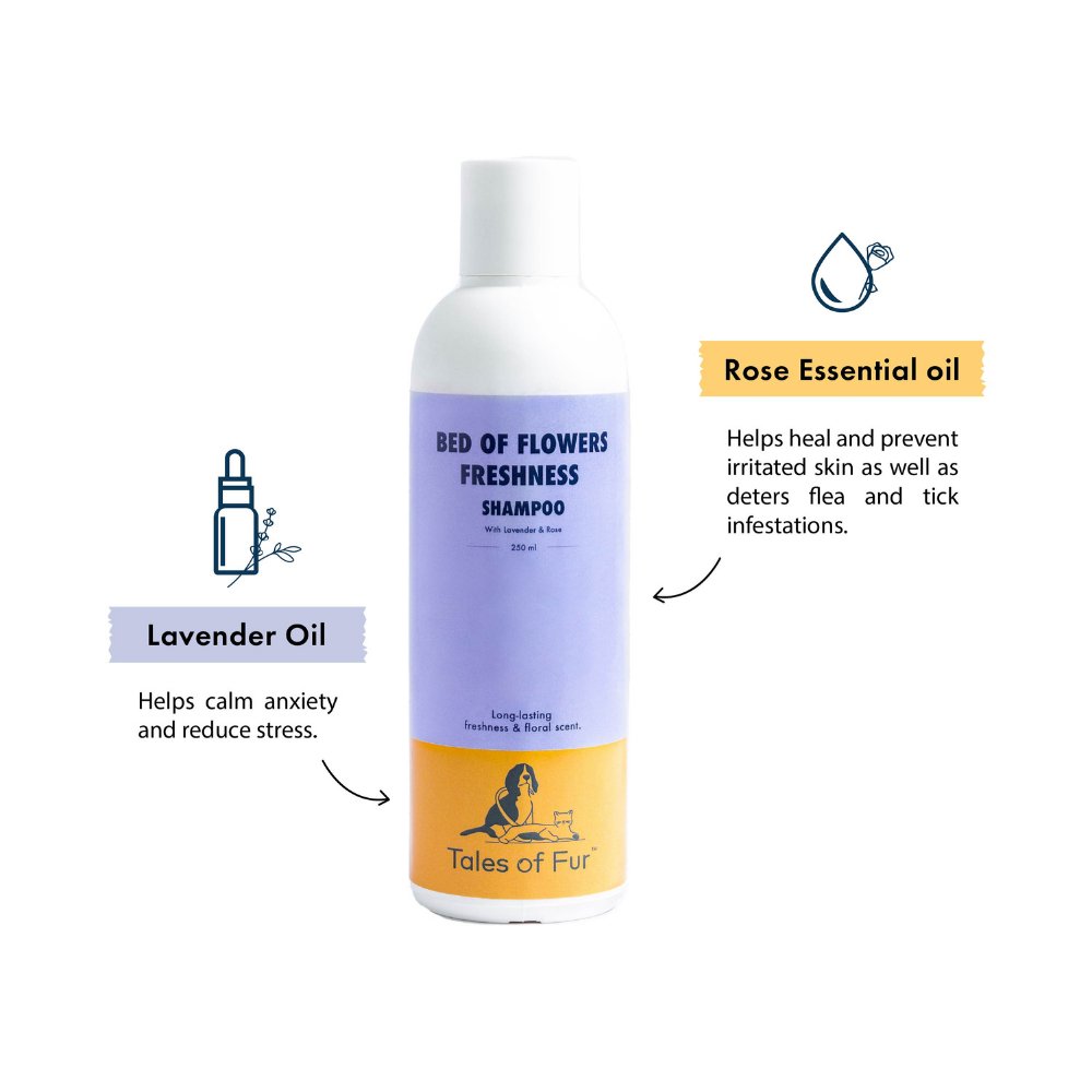 
                  
                    Bed of Flowers Freshness Shampoo for Dogs (250ml) - Kreate- Pet Grooming
                  
                