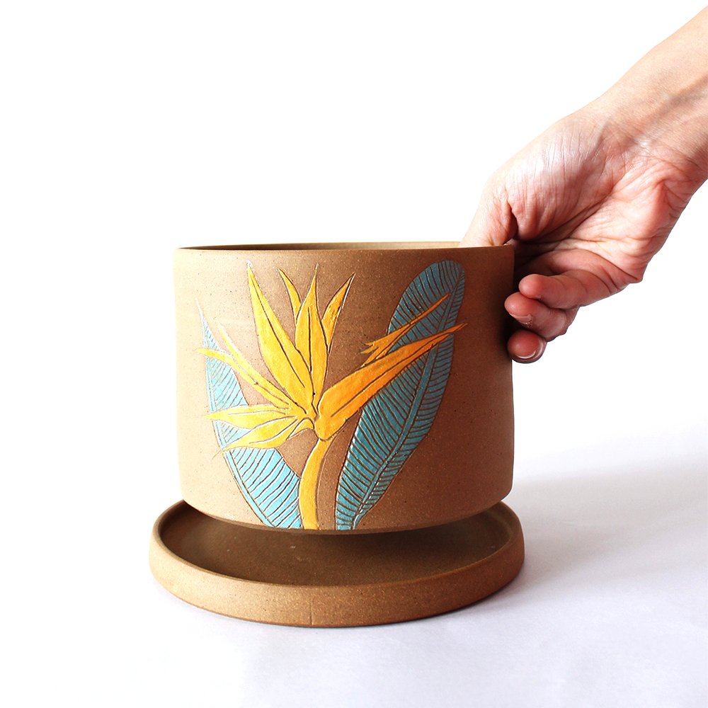 
                  
                    Birds of Paradise - Planter - Kreate- Planters & Pots
                  
                