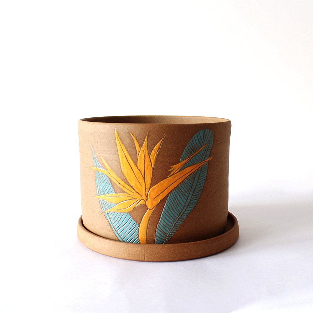 
                  
                    Birds of Paradise - Planter - Kreate- Planters & Pots
                  
                