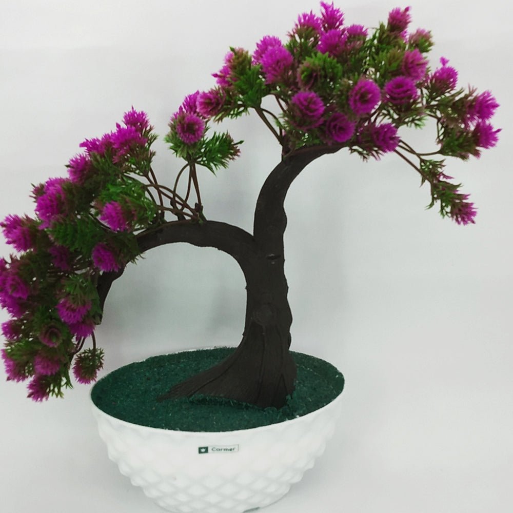 Bonsai Twins Plant in Boat - Kreate- Plants