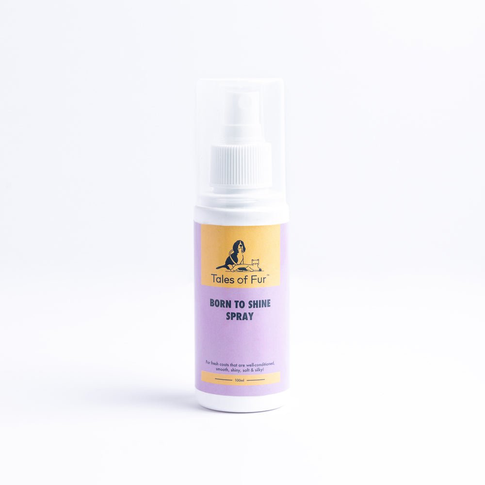 Born to Shine Spray for Dogs (100ml) - Kreate- Pet Grooming