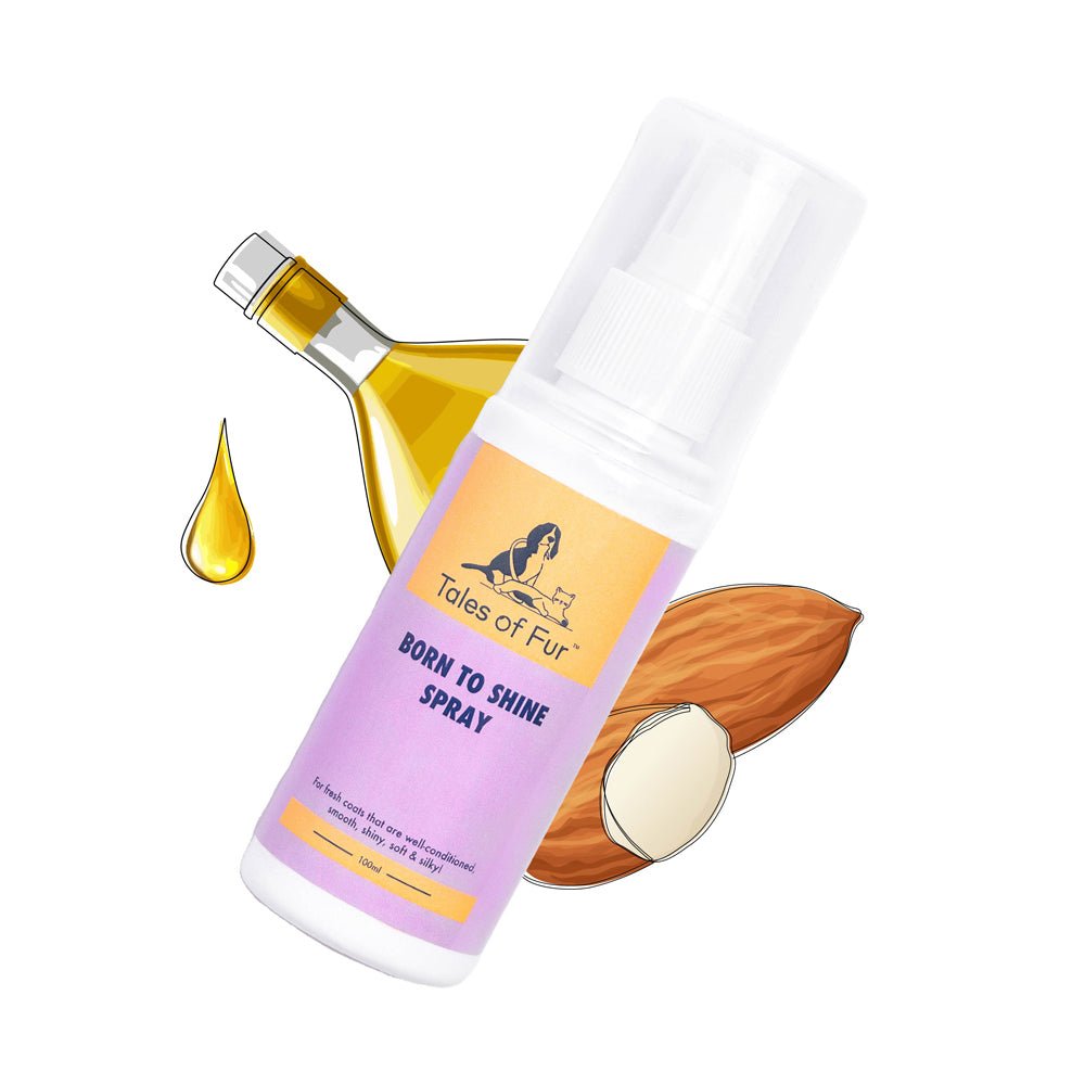 
                  
                    Born to Shine Spray for Dogs (100ml) - Kreate- Pet Grooming
                  
                