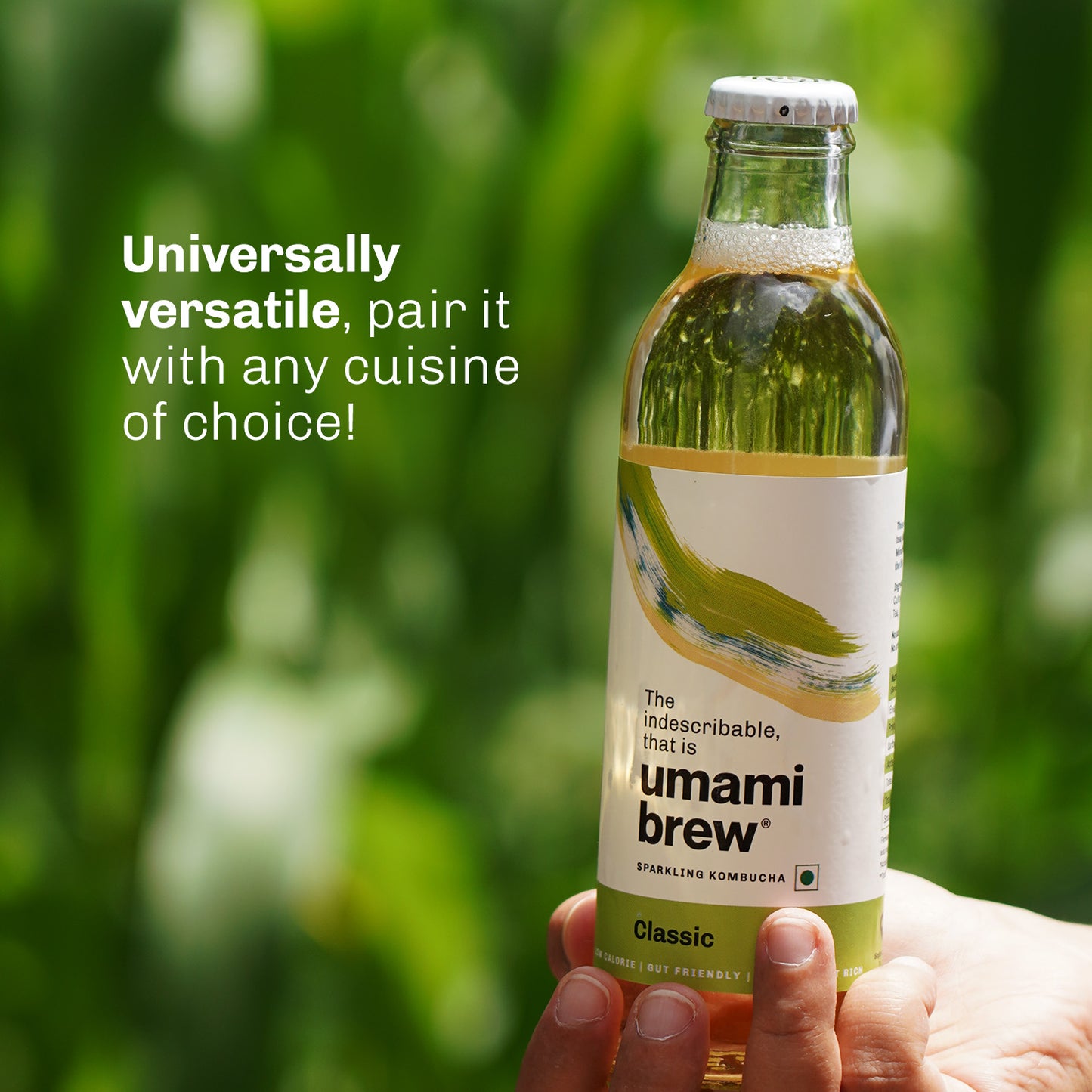 
                  
                    Umami Brew Sparkling Kombucha - Classic Pack of 6 (6X250ml)
                  
                