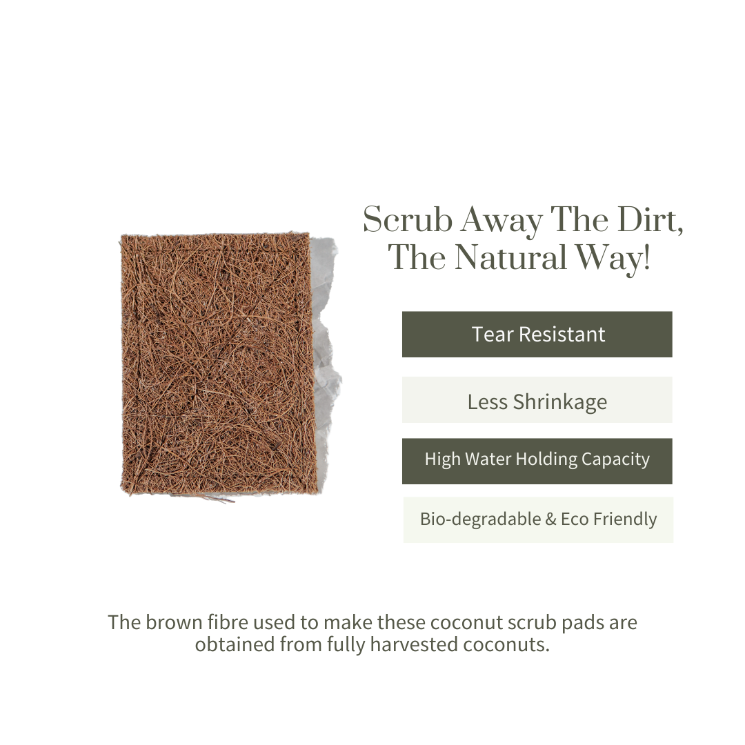 
                  
                    Ecotyl Coconut Scrub Pad (Set of 5)
                  
                