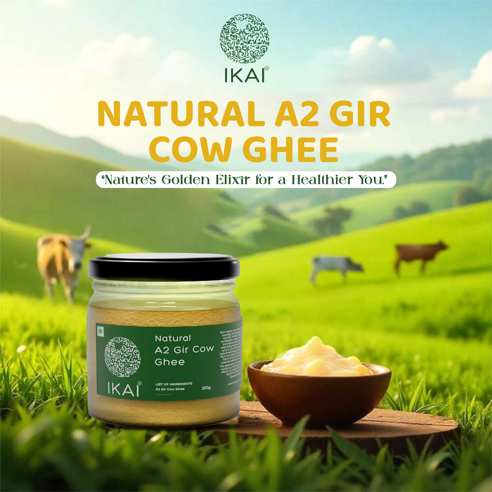 
                  
                    Natural A2 Gir Cow Ghee | Vedic Bilona Method | Curd Churned | 250g
                  
                